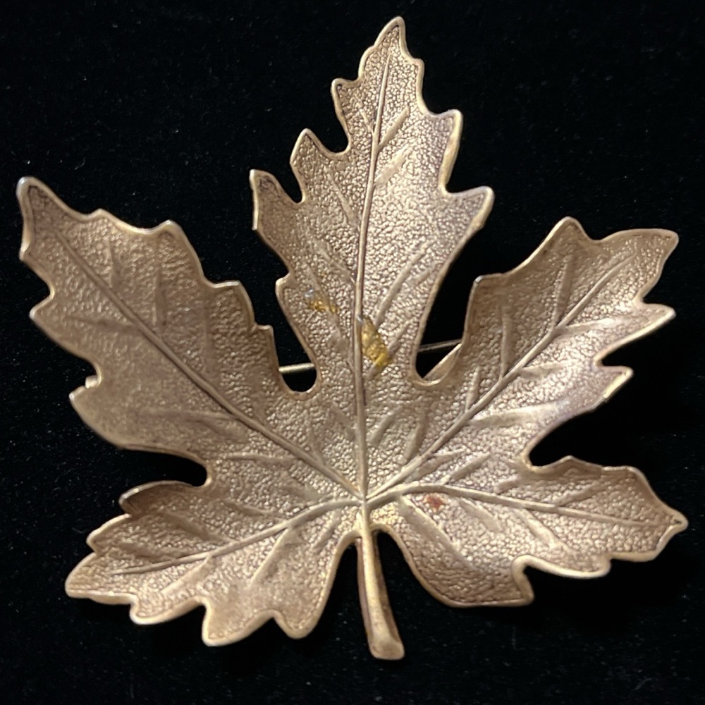 Gold leaf brooch with a maple leaf design #jewelry


Mom